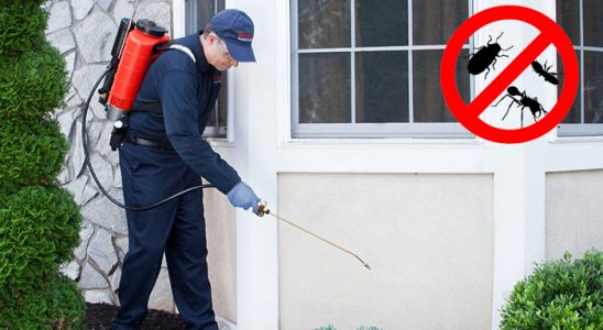 Oğuzlar Akrep İlaçlama böcek ilaçlama ve haşere kontrolü — ilaclama-tr.com